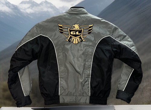 Honda goldwing rider - goldwing,