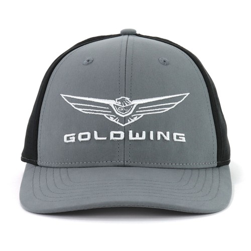 Honda goldwing excursion - goldwing, gray